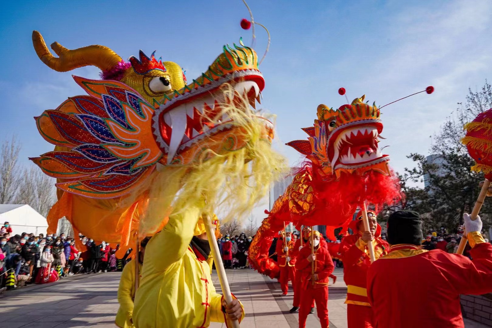 AYX官网-包含传统民俗龙舞运动会，文化与运动的完美结合的词条