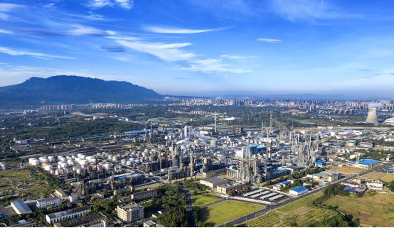 “青训+科普”双轮驱动,青少年体育素养全面提升的产业链逐步形成的简单介绍 “青训+科普”双轮驱动,青少年体育素养全面提升的产业链逐步形成的简单介绍