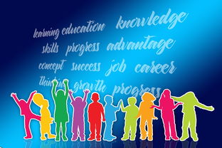 爱游戏体育平台-中国篮球职业联赛品牌战略及市场推广研究，中国的职业篮球联赛