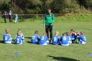 -法甲球队防守战术调整后定位球防守成功率提升分析，法甲实力定位