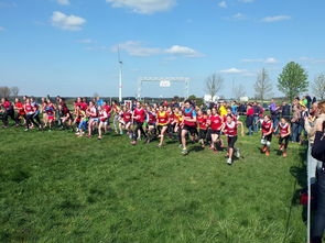 爱游戏下载-青少年体育锻炼促进策略与实践，青少年体育锻炼方案